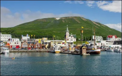 Cette petite ville de 2 200 habitants est l'une des plus au nord ; située en bordure de sa baie qui s'ouvre sur l'océan arctique, elle est considérée comme la capitale de l'Europe pour l'observation des baleines :