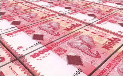 Avec quelle monnaie paye-t-on à Dodoma ?