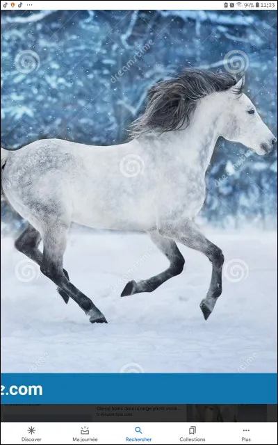 Que fait ce cheval ?