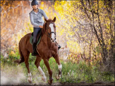 L'équitation est mauvaise pour la santé.