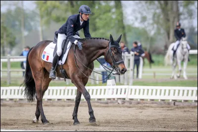 L'équitation, c'est un sport de fille.
