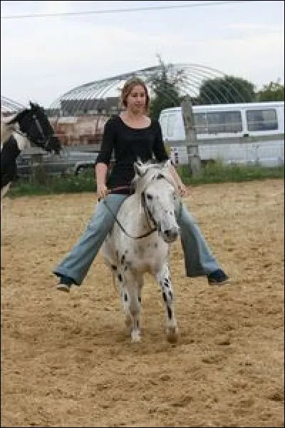 L'équitation, ça rend bête.