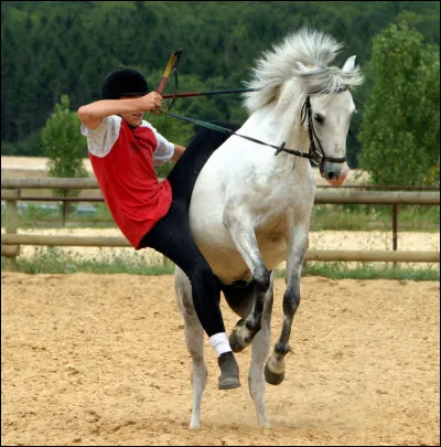 L'équitation, c'est dangereux.