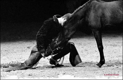 L'équitation porte malheur.