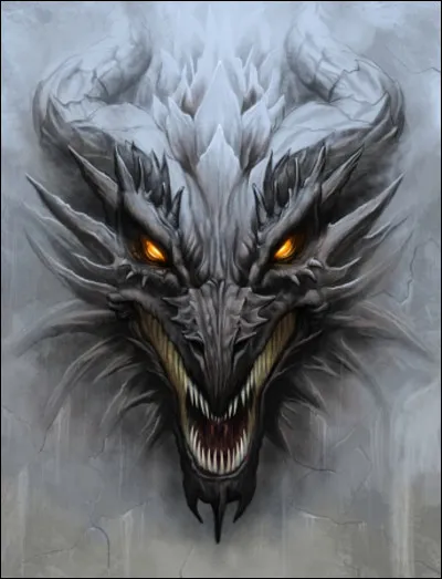 Dans quel manga parle-t-on de dragons ?