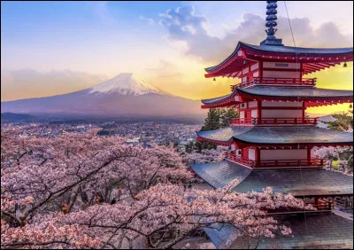 Quel est le plat le plus populaire au Japon ?