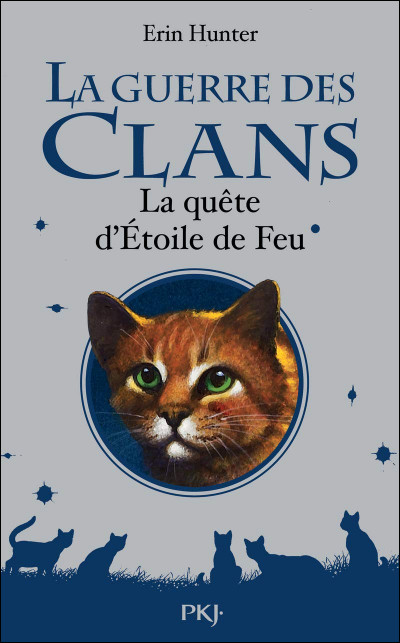 Quels sont les noms des chats qui sinquiètent et voient des signes près de leau ?