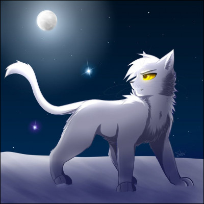 Comment sappelle celui que ces chatons insultent ?