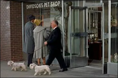 Dans quel film fait-il le figurant d'un monsieur qui sort ses chiens ?