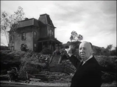 Quel type de cinéma propose-t-il ?