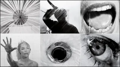 La célèbre scène de la douche mobilisera 7 jours de tournage pour 45 secondes à l'écran. Mais dans quel film est-elle intégrée ?