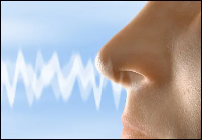 Quel mot désigne la perte totale de l'odorat ?