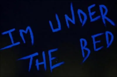 Qui a crit cette inscription sur le plafond de sa chambre d'hpital ?