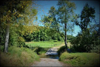 Pour Nietzsche, comment est le savoir ?