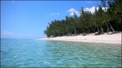 Avant de rentrer dans l'eau, je...