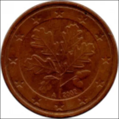 Quelle feuille est représentée ?