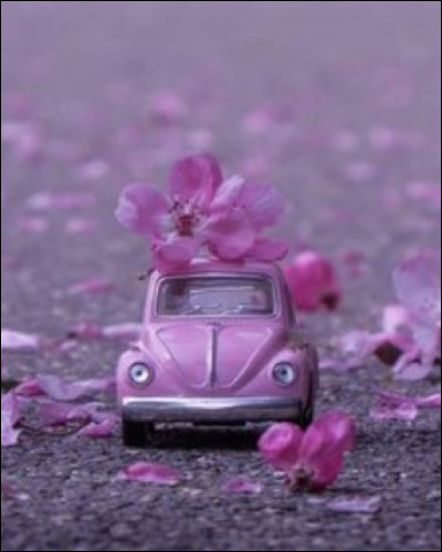 Dehors quelqu'un fait tomber un billet de 100 euros, que fais-tu ?