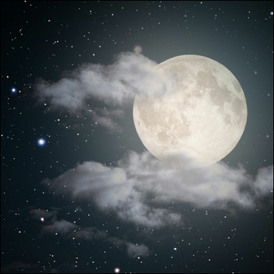 Qui est (ou sont) son mentor (ou ses mentors) ?