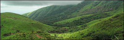 Lorsqu’il est apprenti, dans la peau de quel félin se glisse-t-il dans ses rêves ?