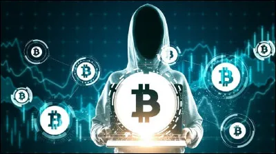 Il faut néanmoins être très prudent avec les cryptomonnaies. Pourquoi (cochez la mauvaise réponse) ?