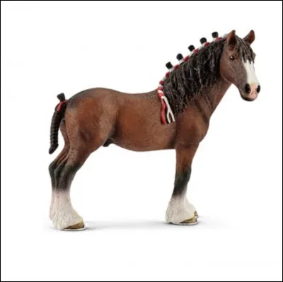 La race de ce cheval est :