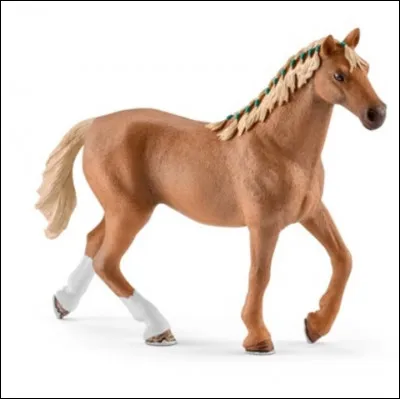 La race de ce cheval est :