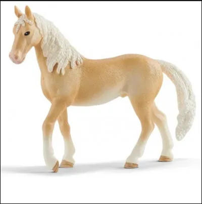 La race de ce cheval est :