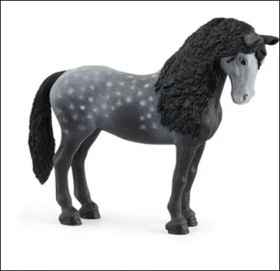 La race de ce cheval est :