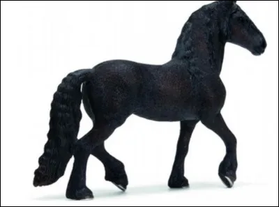 La race de ce cheval est :