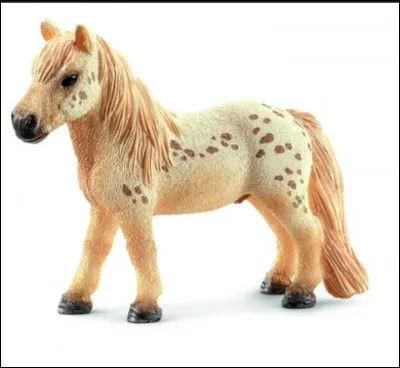 La race de ce cheval est :