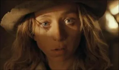 Qui incarne Calamity Jane ?