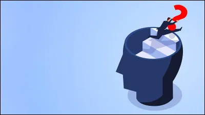 Quelle monnaie représente la proportion de masse monétaire la plus importante ?