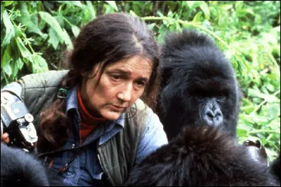 Comment ''Diane Fossey'', primatologue américaine, spécialisée dans l'étude du comportement des gorilles de l'Est, est-elle morte ?