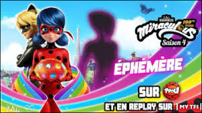 Chat Noir est-il vraiment un super-héros ?