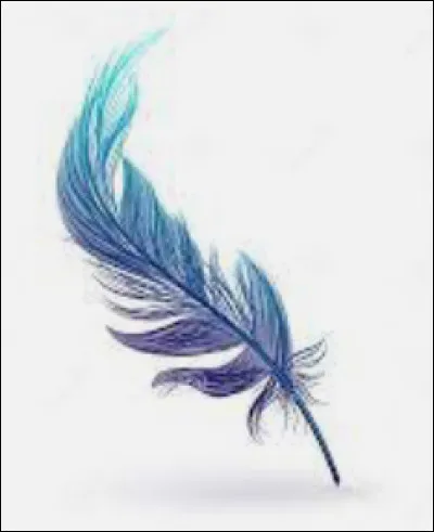 Quel métier aimerais-tu exercer ?