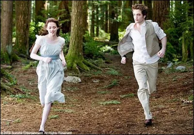 Quelle est la toute dernière phrase du chapitre 2 de "Twilight" ?