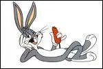 Qui est ce lapin ?