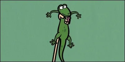 Comment s'appelle le lézard de Lana ?