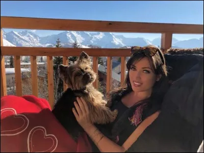 Combien d'animaux a Elsa ?