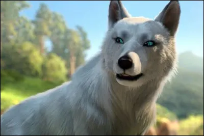 Quel est le nom de ce personnage ?