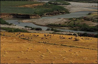 Quel autre fleuve forme la ''Mésopotamie'' avec le ''Tigre'' (dans sa partie basse) ?