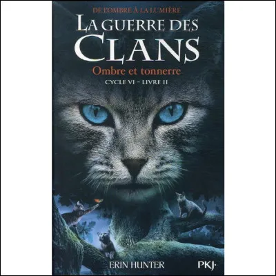 Quel cycle préfères-tu ?