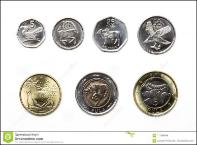 Dans quel pays paye-t-on avec le pula ?