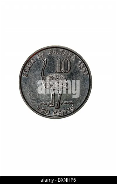 Dans quelle nation paye-t-on avec le nakfa ?