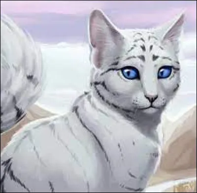 Quel personnage parmi ces quatre préfères-tu ?