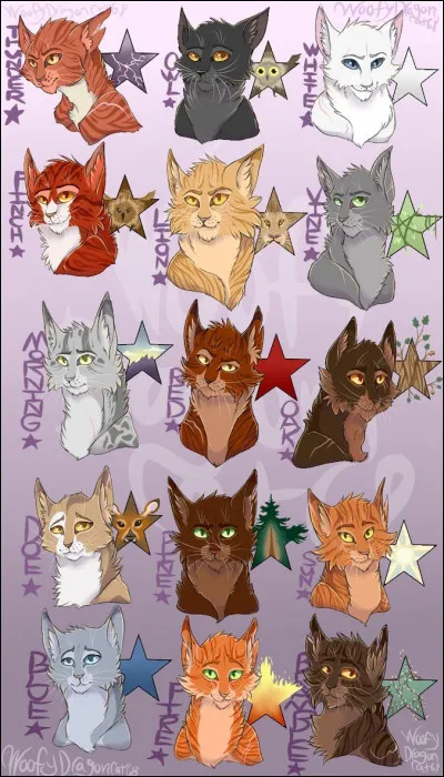 Quel était ton résultat dans la première partie ?