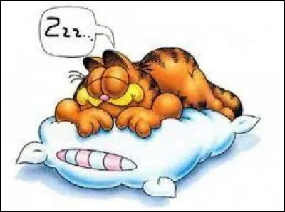 Garfield dort, ronfle, c'est un chat INDEpendant !