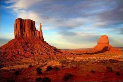 À quel chanteur doit-on "Lucienne est américaine" en 1979 ?