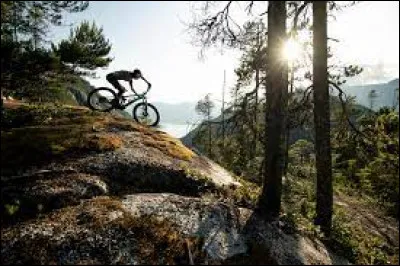 Quel genre de vélo préfères-tu ?