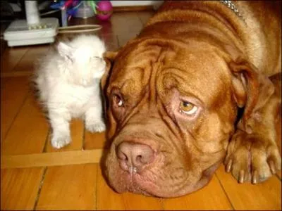 Les campagnes de prvention ont eu quel rle ?